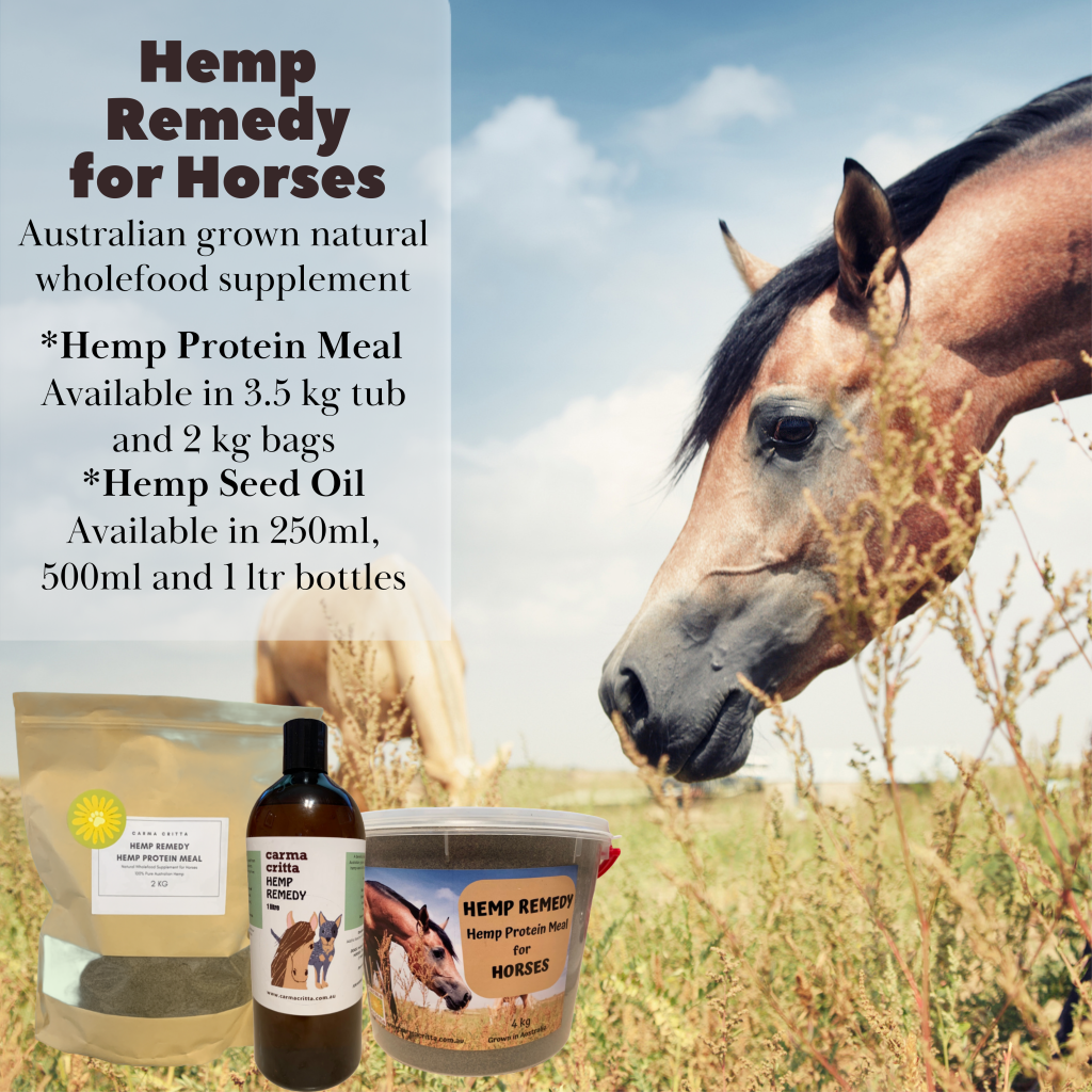 Hemp Remedy Hemp Meal for Horses